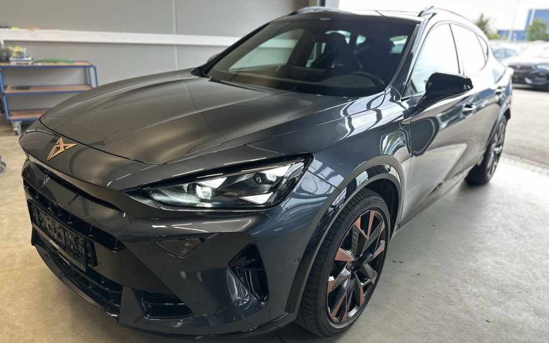 Cupra Formentor VZ 4Drive Leder Sennheiser AHK Skyline