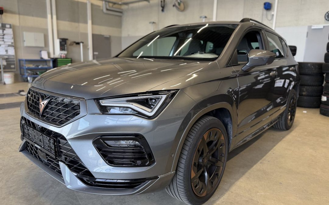 Cupra Ateca VZ 4Drive Assist XL Memory AHK Panorama