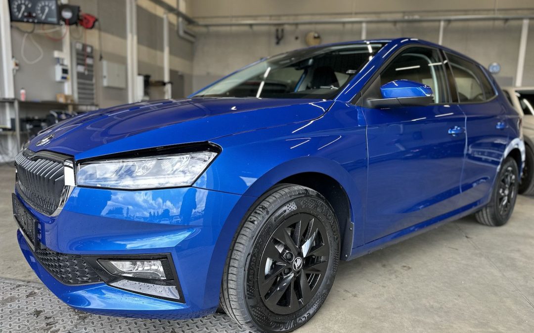 Skoda Fabia 1,0TSI 130Jahre SHZ Kamera Alu 5J.Garantie