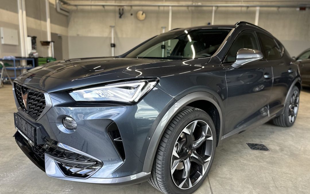 Cupra Formentor 1,5TSI DSG NAVI DCC 19´´ Assist L