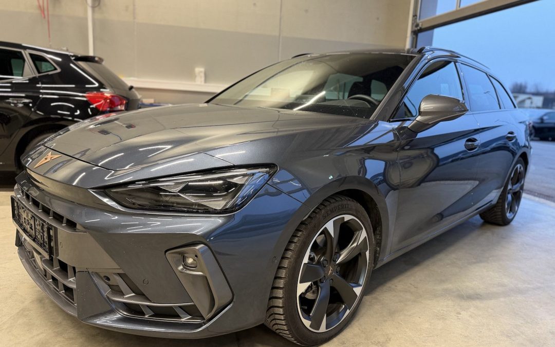 Cupra Leon ST 1.5eTSI DSG AHK Assist XL Navi Matrix