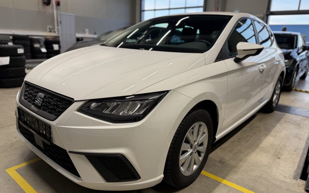 Seat Ibiza 1,0TSI Style Navi Winterpaket Connect.Box