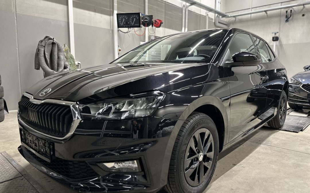 Skoda Fabia 1,0TSI 130Jahre SHZ Kamera Alu 5J.Garantie