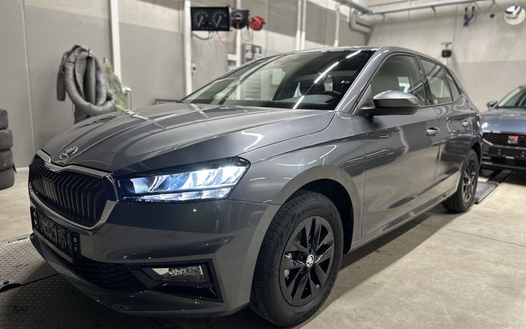 Skoda Fabia 1,0TSI 130Jahre SHZ Kamera Alu 5J.Garantie