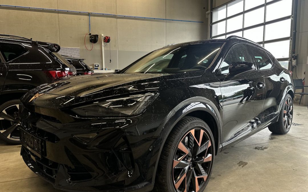 Cupra Formentor VZ 4Drive Leder Sennheiser AHK Skyline