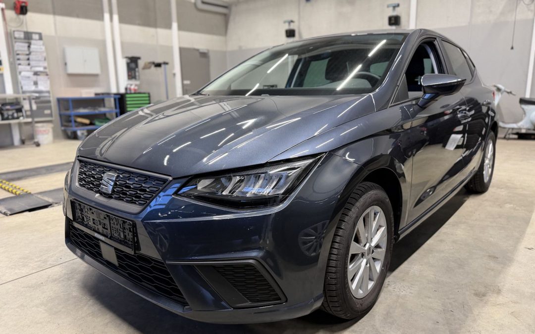 Seat Ibiza 1,0TSI Style Navi Winterpaket Connect.Box