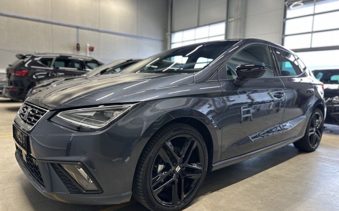 Seat Ibiza 1.5TSI DSG FR Pano Kamera 18´´ Alcantara