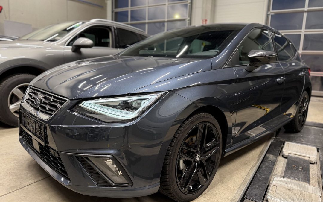 Seat Ibiza 1.0TSI DSG FR Kamera 18´´ Alcantara ACC